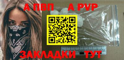 тгк Кингисепп