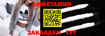 тгк Кингисепп