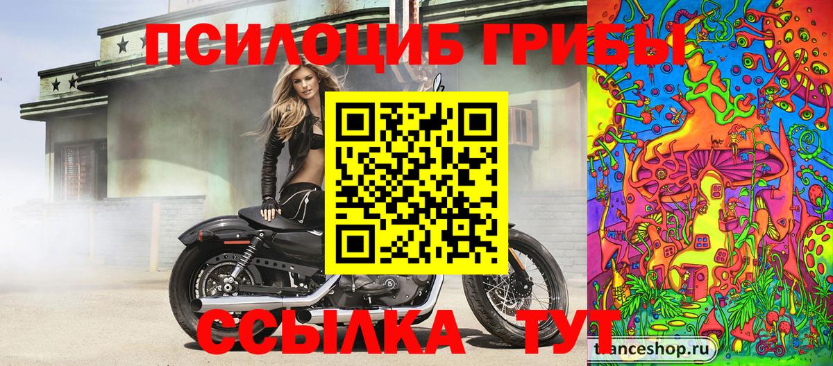 Галлюциногенные грибы Psilocybine cubensis Кувандык
