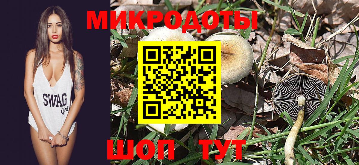 Галлюциногенные грибы Psilocybe  Псилоцибиновые грибы ЛСД  Вход с VPN  Кувандык 